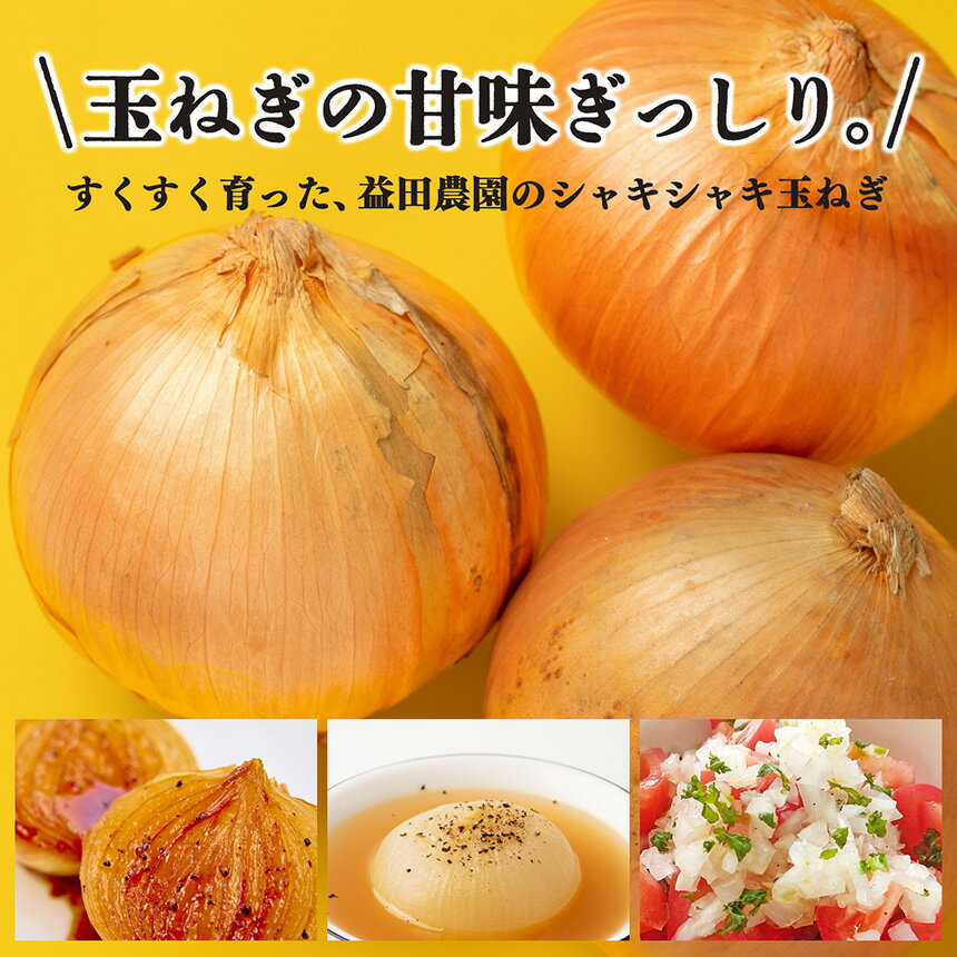 【ふるさと納税】【なら育ち 益田農園】 玉ねぎ 約 5kg サイズ混合｜ヤサイ 野菜 ベジタブル 玉ねぎ オニオン 奈良県 五條市 - 画像3