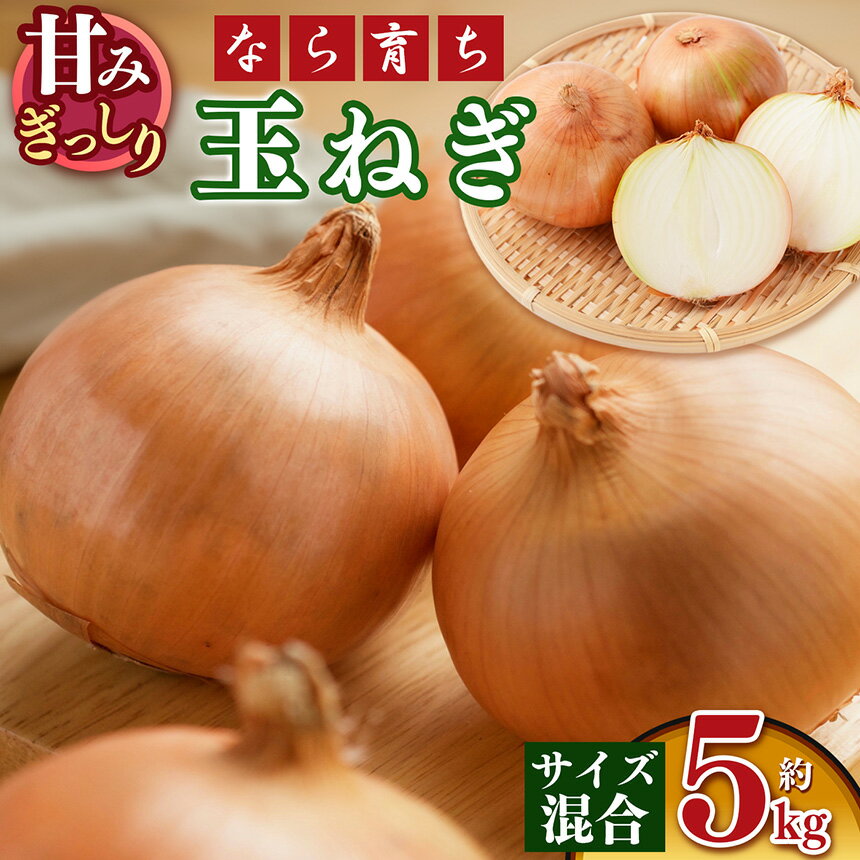 【なら育ち 益田農園】 玉ねぎ 約 5kg サイズ混合｜ヤサイ 野菜 ベジタブル 玉ねぎ オニオン 奈良県 五條市