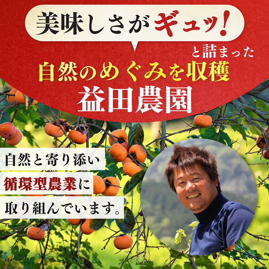 【ふるさと納税】 柿 チップ小分け10袋セット 【なら育ち 益田農園】 ｜ フルーツ 果物 くだもの 柿 かき カキ 柿チップ お菓子 奈良県 五條市 サムネイル2