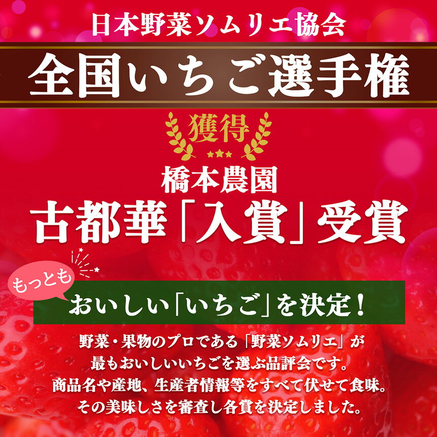 【ふるさと納税】 いちご 大和なでし苺 古都華 奈良県西吉野産 | フルーツ くだもの 果物 いちご イチゴ 大和なでし苺 ことか コトカ 古都華 奈良県 五條市 サムネイル2