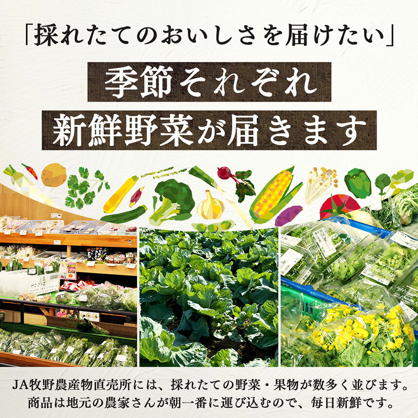 【ふるさと納税】 野菜 季節の野菜セット | ヤサイ やさい 詰め合わせ セット せっと 詰合せ 組み合わせ まとめ マトメ 奈良県 五條市 果物 新鮮 季節 お試し バーベキュー BBQ おすすめ 冬 春 夏 秋 国産 季節の野菜 - 画像2