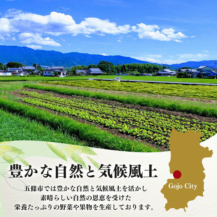 【ふるさと納税】 野菜 季節の野菜セット | ヤサイ やさい 詰め合わせ セット せっと 詰合せ 組み合わせ まとめ マトメ 奈良県 五條市 果物 新鮮 季節 お試し バーベキュー BBQ おすすめ 冬 春 夏 秋 国産 季節の野菜 - 画像3