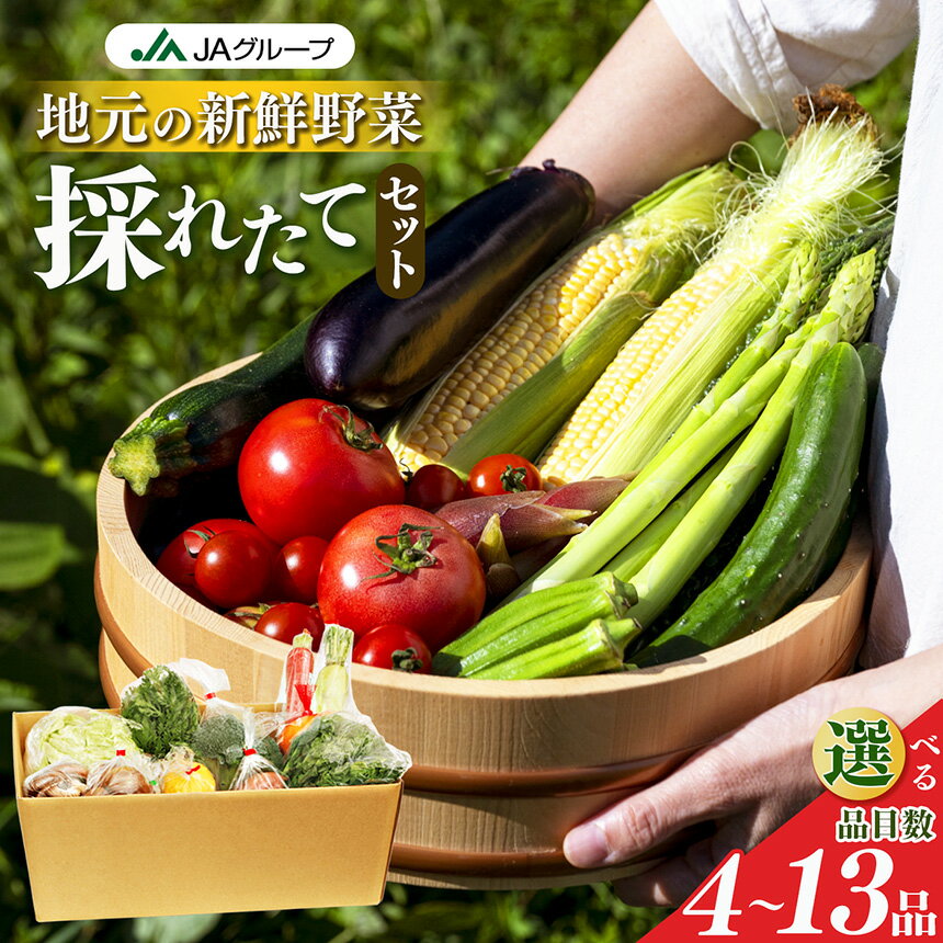 野菜 季節の野菜セット | ヤサイ やさい 詰め合わせ セット せっと 詰合せ 組み合わせ まとめ マトメ 奈良県 五條市 果物 新鮮 季節 お試し バーベキュー BBQ おすすめ 冬 春 夏 秋 国産 季節の野菜