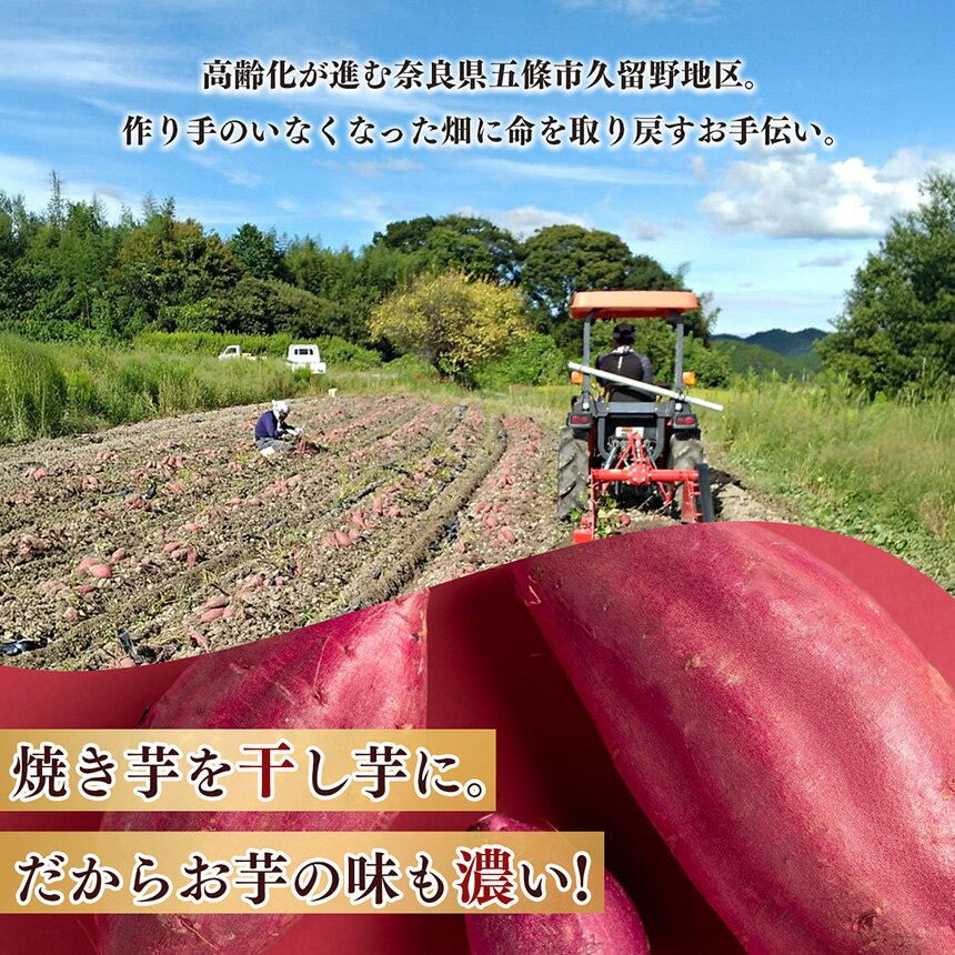 【ふるさと納税】 干し芋 奈良県五條産 蜜たっぷり焼き干し芋 セット | 野菜 やさい さつまいも サツマイモ さつま芋 やきいも 焼きいも ヤキイモ 奈良県 五條市 プレゼント ギフト 人気 いも イモ おすすめ 送料無料 お菓子 おやつ デザート スイーツ 和菓子 紅はるか - 画像3