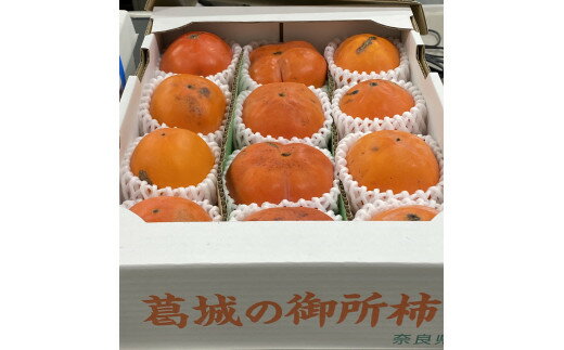 【ふるさと納税】御所柿 約2kg ／ 奈良県農業協同組合 甘柿 かき 果物 希少 特産品 奈良県 御所市 サムネイル3