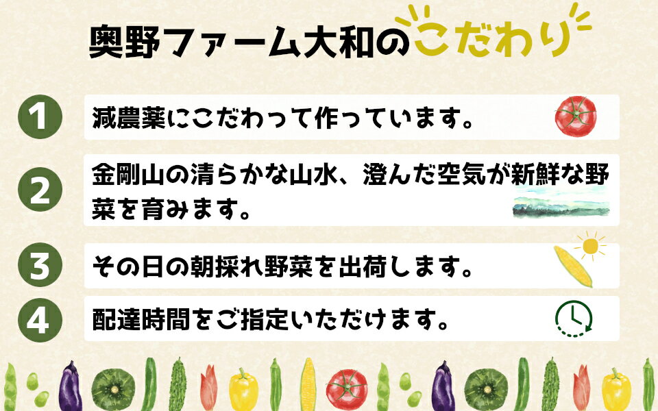 【ふるさと納税】【冷蔵】（定期便）（月曜日発送）季節のこだわり野菜セット　年4回 ／ 奥野ファーム大和 季節野菜 有機肥料 奈良県 御所市 - 画像2