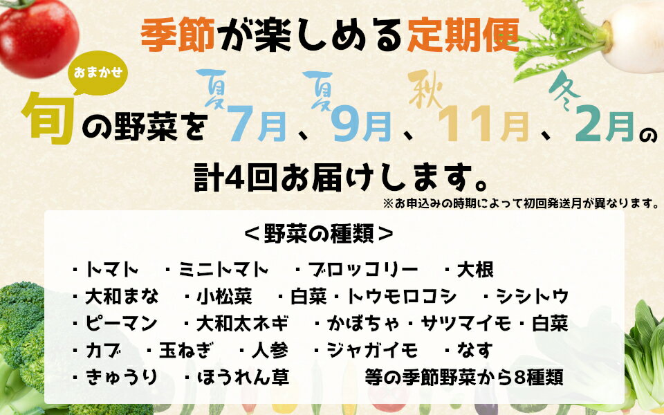 【ふるさと納税】【冷蔵】（定期便）（月曜日発送）季節のこだわり野菜セット　年4回 ／ 奥野ファーム大和 季節野菜 有機肥料 奈良県 御所市 - 画像3