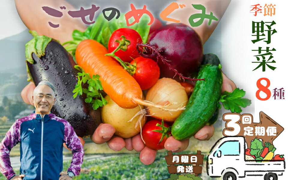 【冷蔵】（定期便）（月曜日発送）季節のこだわり野菜セット　年3回 ／ 奥野ファーム大和 季節野菜 有機肥料 奈良県 御所市