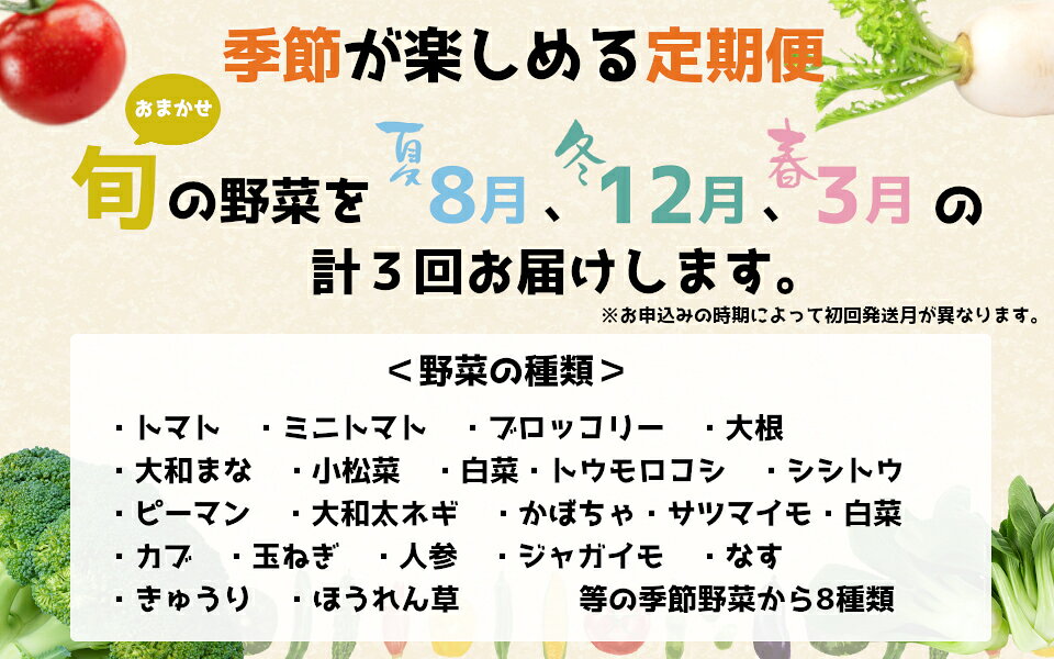【ふるさと納税】【冷蔵】（定期便）（月曜日発送）季節のこだわり野菜セット　年3回 ／ 奥野ファーム大和 季節野菜 有機肥料 奈良県 御所市 - 画像3