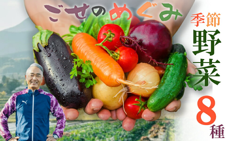 【冷蔵】（水曜日発送）季節のこだわり野菜セット ／ 奥野ファーム大和 季節野菜 有機肥料 奈良県 御所市