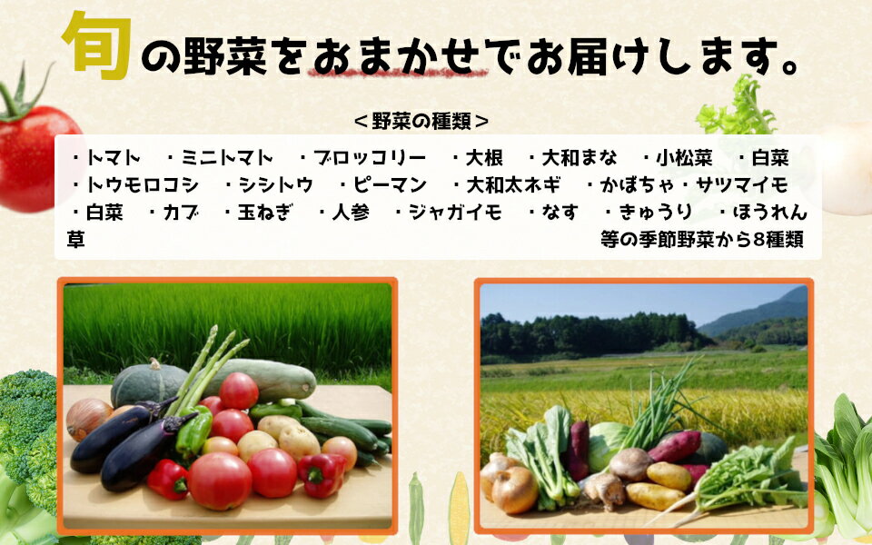 【ふるさと納税】【冷蔵】（水曜日発送）季節のこだわり野菜セット ／ 奥野ファーム大和 季節野菜 有機肥料 奈良県 御所市 - 画像3