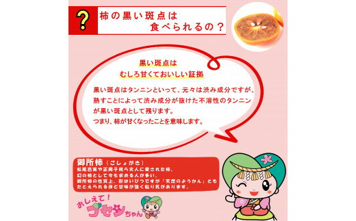 【ふるさと納税】御所柿 約2kg ／ 奈良県農業協同組合 甘柿 かき 果物 希少 特産品 奈良県 御所市 サムネイル2