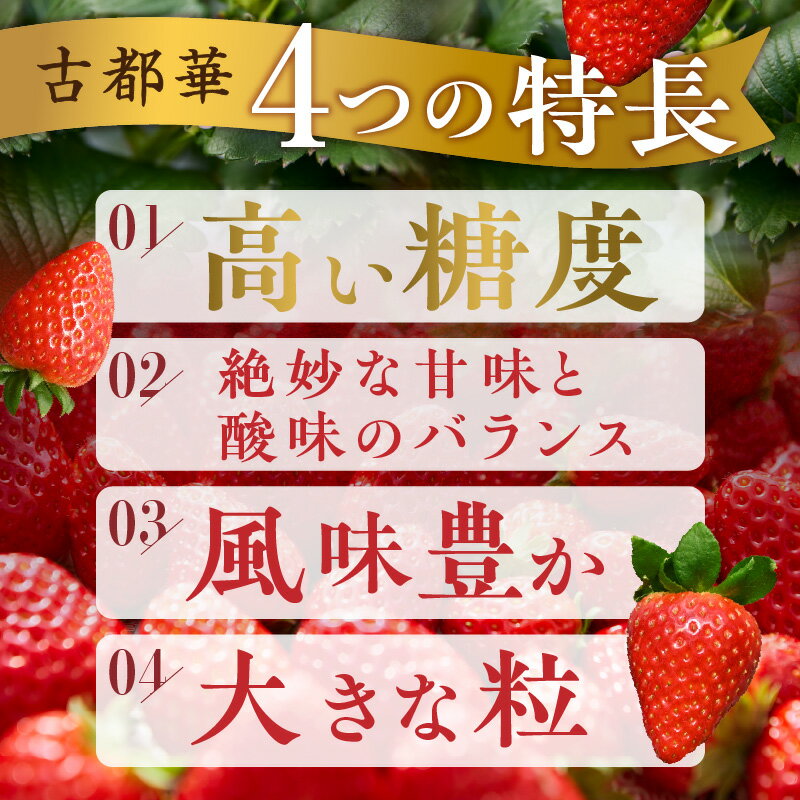 【ふるさと納税】先行予約 高級いちご「古都華」 ことか 大粒 甘い 濃い 濃厚 糖度 ブランド いちご イチゴ 苺 フルーツ 果物 くだもの ご褒美 高級 贈答 贈り物 ギフト プレゼント サイズ・パック数が選べる きよの杜農園 奈良県 生駒市 送料無料 サムネイル3