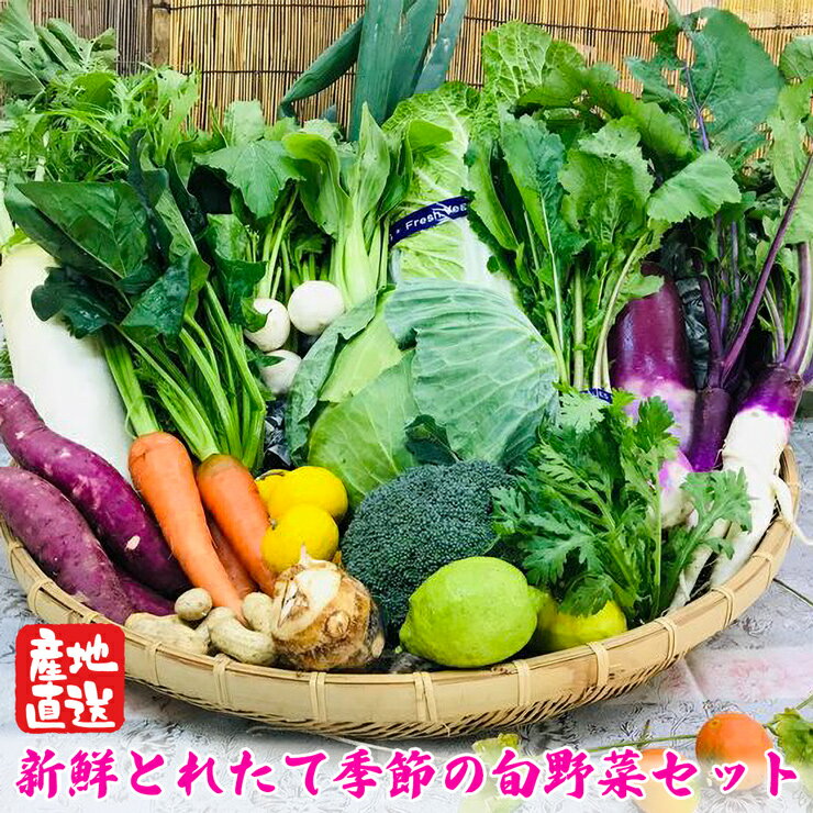 [野菜セット] 産地直送！新鮮とれたて旬の野菜 [2004]