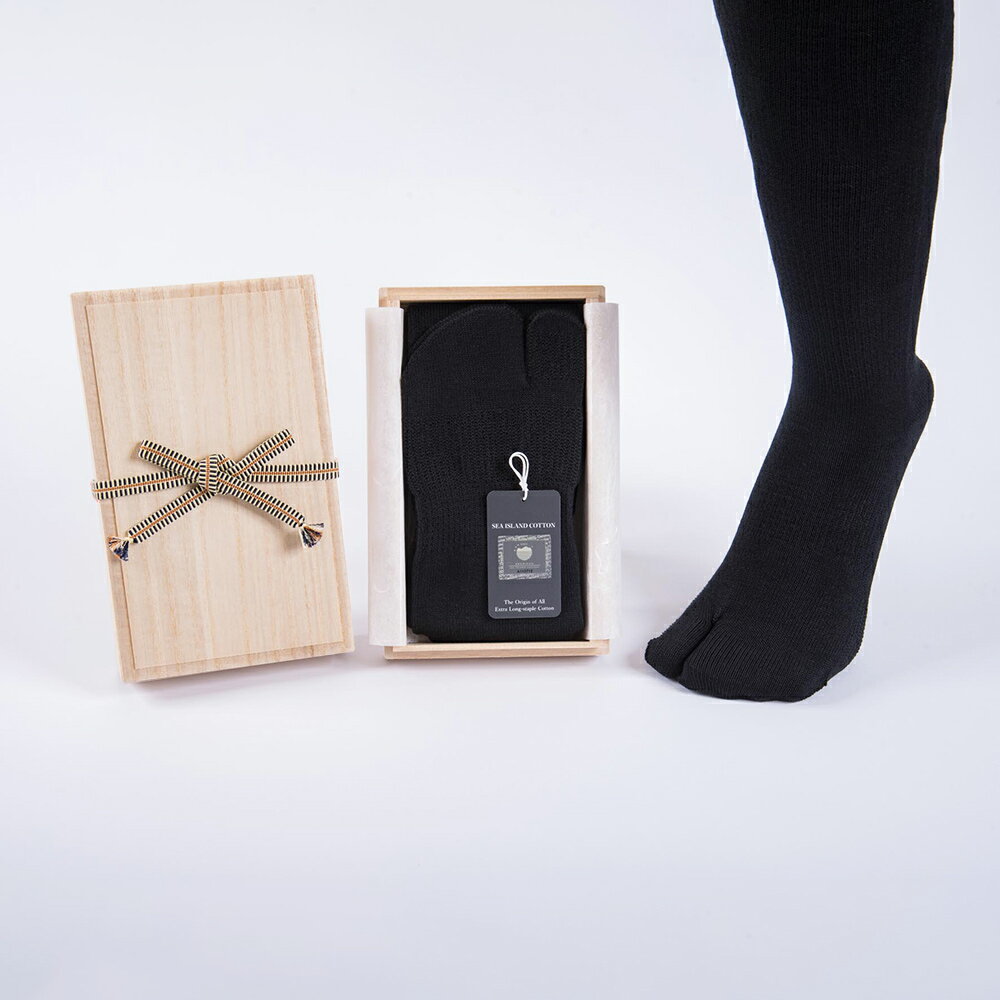 【ふるさと納税】最高級 タビ靴下「御足 (みあし)」(25-27cm)【1足桐箱入】｜タビソックス 足袋ソックス くつ下 くつした [2494] サムネイル2