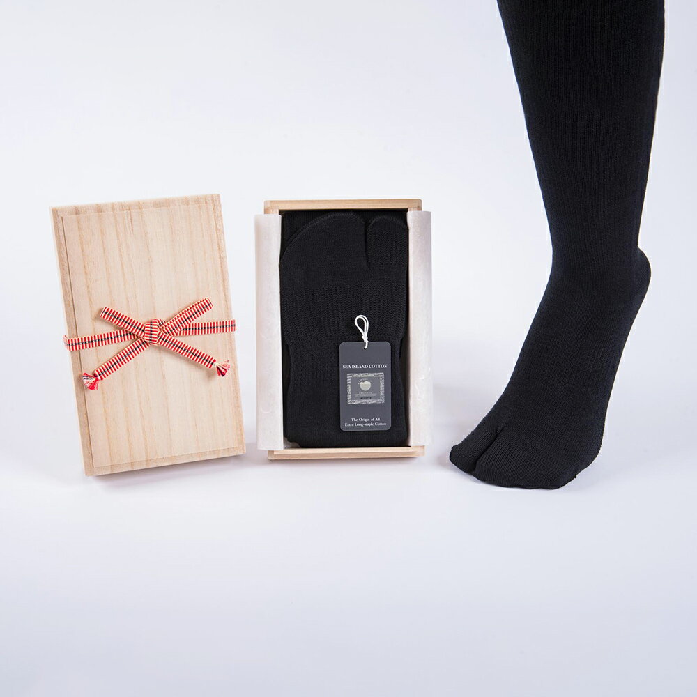 【ふるさと納税】最高級 タビ靴下「御足 (みあし)」(22-24cm)【1足桐箱入】｜タビソックス 足袋ソックス くつ下 くつした [2495] サムネイル2