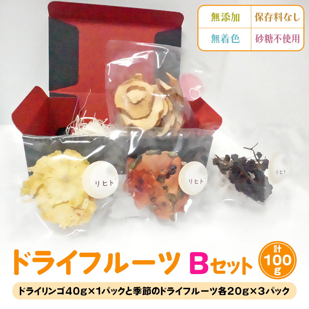 ドライフルーツ Bセット [季節のドライフルーツ20g×3パック＋ドライりんご40g×1パック]｜ドライフルーツ 無添加 無着色 保存料なし 砂糖不使用 [2585]