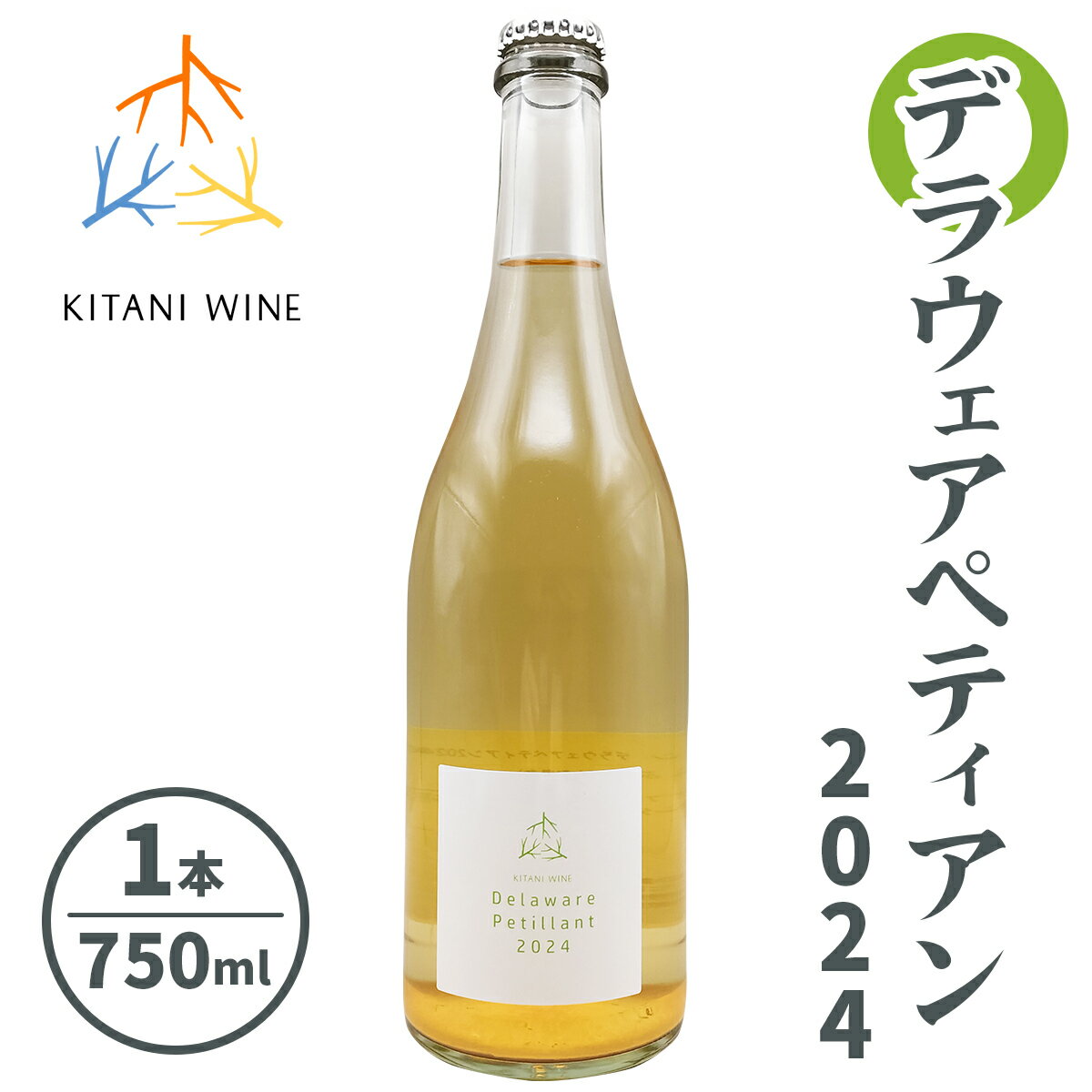 デラウェアペティアン 2024 (750ml×1本)｜ワイン 果実酒 奈良 香芝 [3004]