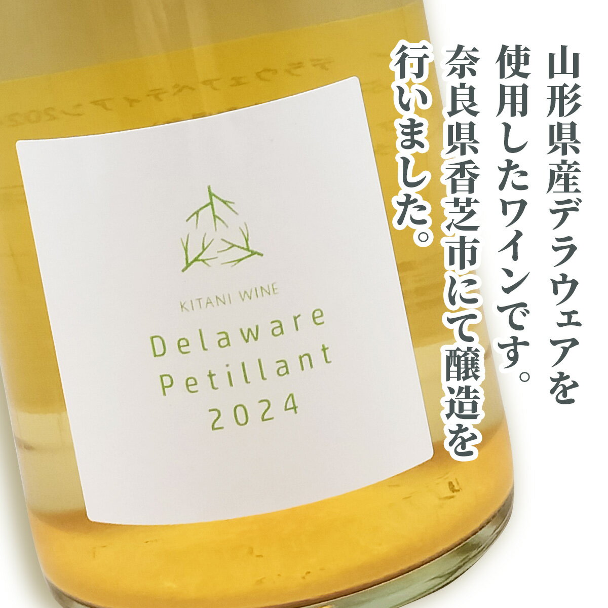 【ふるさと納税】デラウェアペティアン 2024 (750ml×1本)｜ワイン 果実酒 奈良 香芝 [3004] サムネイル2