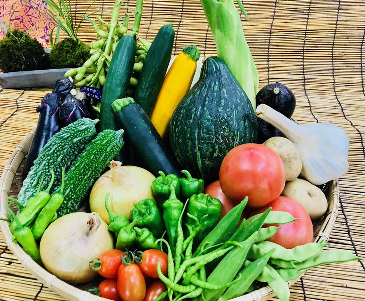 【ふるさと納税】[野菜セット] 産地直送！新鮮とれたて旬の野菜 [2004] サムネイル3