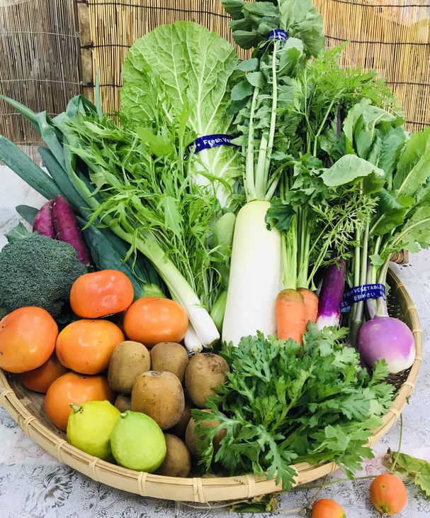 野菜と果物セット 産地直送！新鮮とれたて旬の野菜＆季節のフルーツ [果実的野菜 (イチゴ・スイカ・メロン・まくわ等) を含む] 1種以上 約1kg｜季節野菜 採れたて 安心 奈良県 [3244]