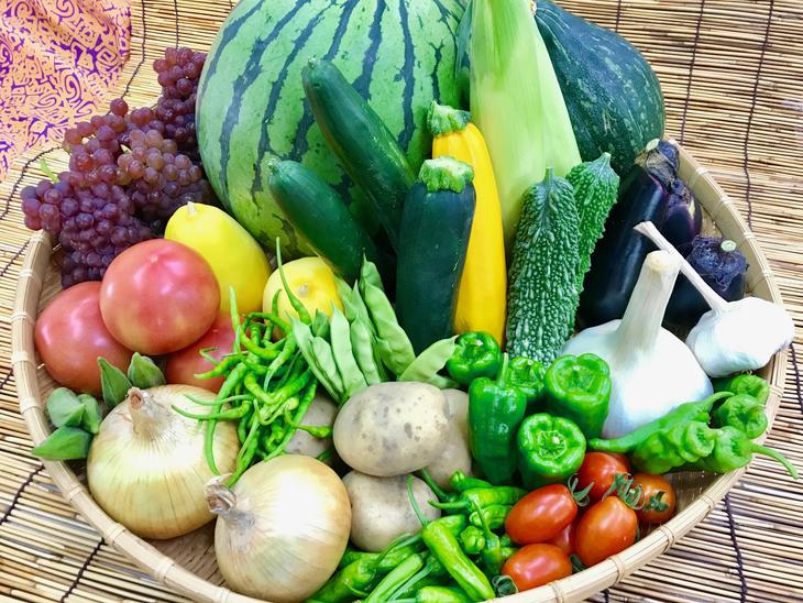 【ふるさと納税】野菜と果物セット 産地直送！新鮮とれたて旬の野菜＆季節のフルーツ [果実的野菜 (イチゴ・スイカ・メロン・まくわ等) を含む] 1種以上 約1kg｜季節野菜 採れたて 安心 奈良県 [3244] - 画像3