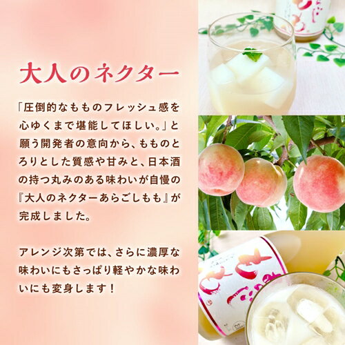 【ふるさと納税】梅乃宿 あらごしもも 720ml ／ お酒 リキュール ギフト 贈り物 プレゼント 人気 メーカー直送 桃 白桃 ピーチ デザート ロック ストレート 奈良県 葛城市 サムネイル2