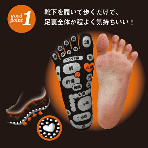 【ふるさと納税】両面　足つぼ　5本指　ソックス　4色組 (25-27cm)／靴下　日用品　ツボ　健康　美容　マッサージ　メンズ　紳士　プレゼント　ギフト サムネイル2