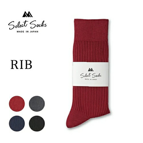 【ふるさと納税】セレクトソックス　リブ　4色組／紳士　ソックス　靴下　くつ下　メンズ　男性　ビジネス　カジュアル　消臭　ギフト　おしゃれ サムネイル2
