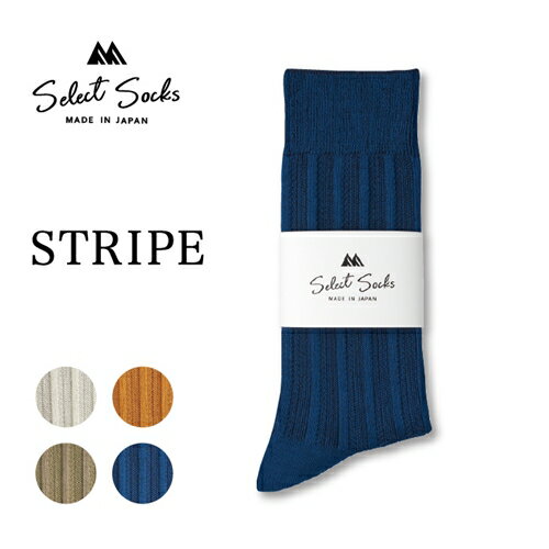 【ふるさと納税】セレクトソックス　ストライプ　4色組／紳士　ソックス　靴下　くつ下　メンズ　男性　ビジネス　カジュアル　消臭　ギフト　おしゃれ サムネイル2