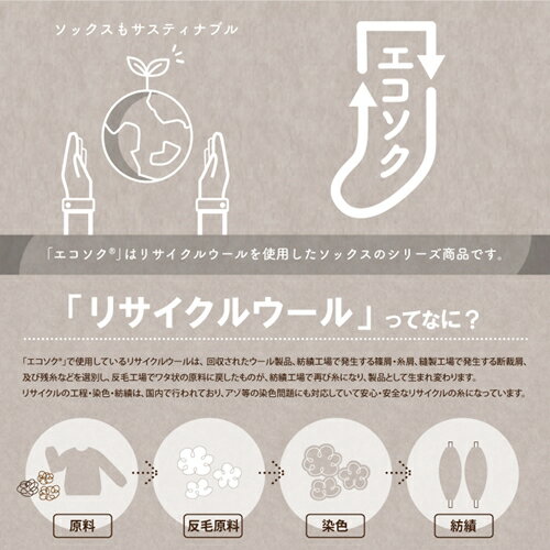 【ふるさと納税】エコソク クルーソックス 3足組 （ベーシック） レディース ／ 靴下 ソックス ウール 暖かい 奈良県 葛城市 サムネイル2