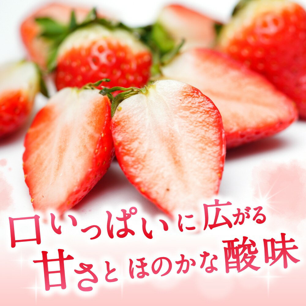 【ふるさと納税】ブランド苺 新鮮 古都華 (小粒) 約500g ～4000g【2026年1月上旬～5月下旬に順次発送】／ スマイル葛城農業 ブランド いちご 苺 ことか イチゴ スイーツ フルーツ 甘い 果物 奈良県 葛城市 サムネイル2