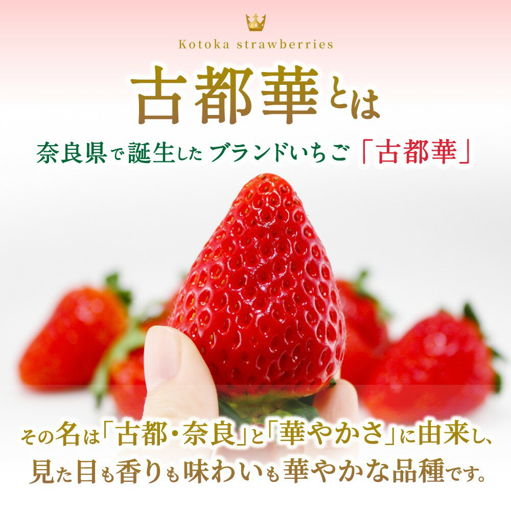 【ふるさと納税】ブランド苺 新鮮 古都華 (小粒) 約500g ～4000g【2026年1月上旬～5月下旬に順次発送】／ スマイル葛城農業 ブランド いちご 苺 ことか イチゴ スイーツ フルーツ 甘い 果物 奈良県 葛城市 サムネイル3