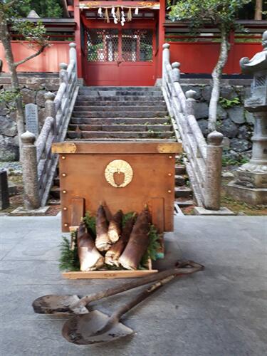 【ふるさと納税】神饌タケノコ　500g入り×3　【2026年5月発送分】 - 画像3