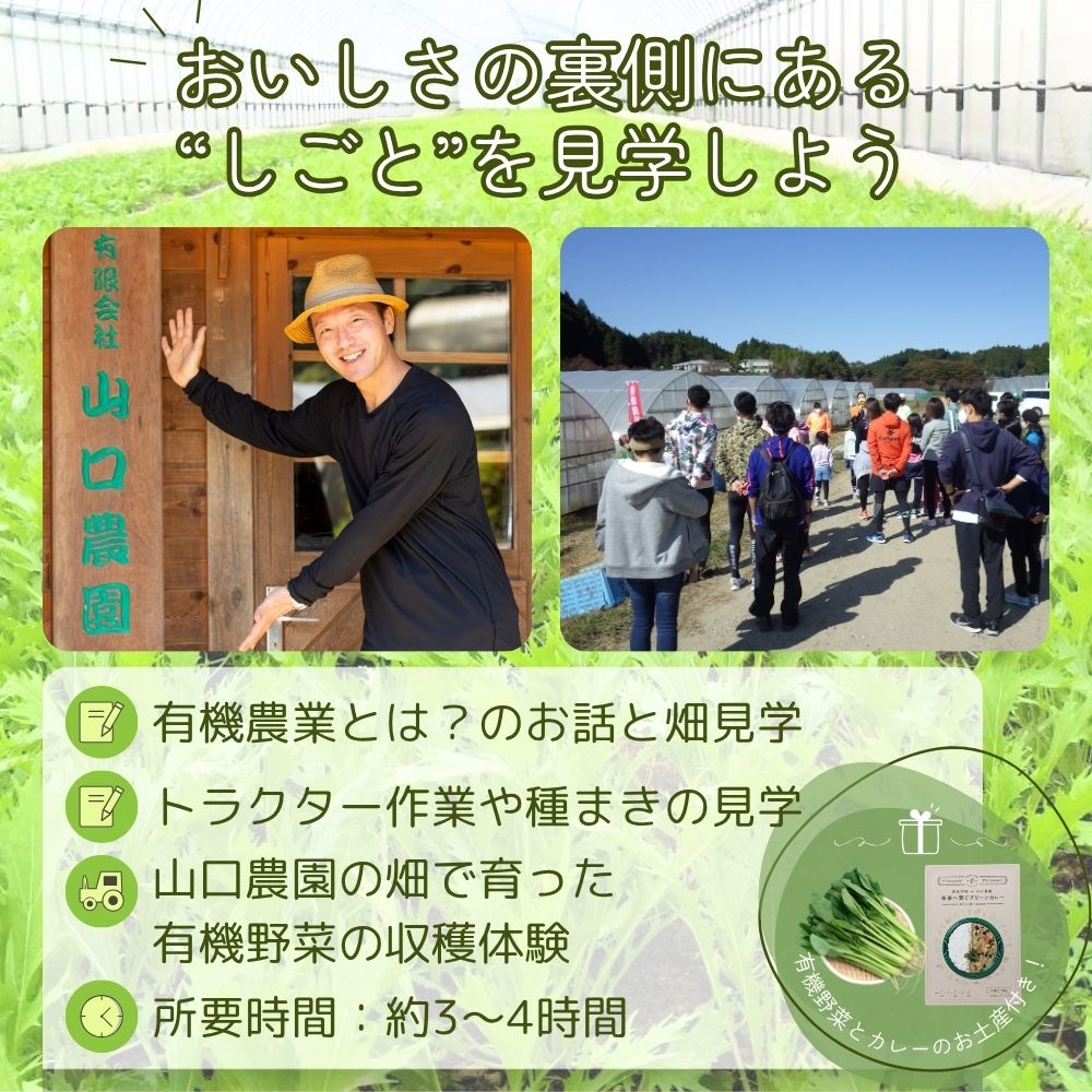 【ふるさと納税】有機農業 就業体験 ツアー お土産付 10名様迄／ 収穫体験 種まき トラクター 農家 有機野菜 オーガニック 無農薬 SDGs 関西 チケット カレー 山口農園 奈良県 宇陀市 サムネイル2