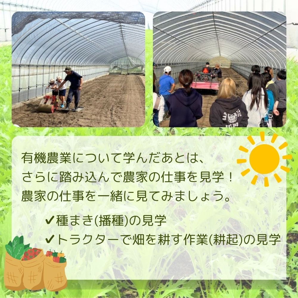 【ふるさと納税】有機農業 就業体験 ツアー お土産付 10名様迄／ 収穫体験 種まき トラクター 農家 有機野菜 オーガニック 無農薬 SDGs 関西 チケット カレー 山口農園 奈良県 宇陀市 サムネイル3