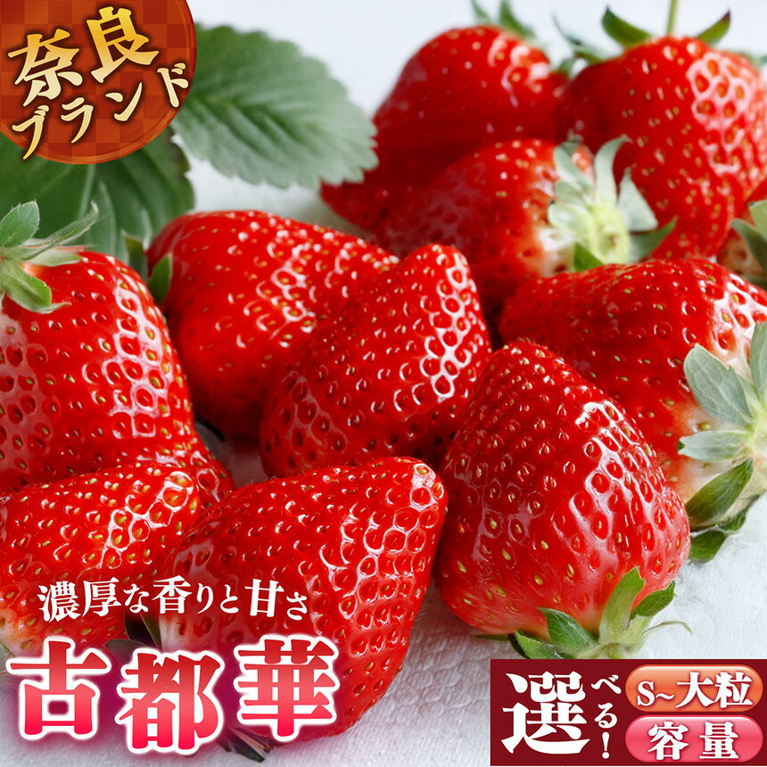 いちご 平群の古都華 S～2Lサイズ 大粒あり 阪野農園 | 果物 くだもの フルーツ 苺 イチゴ いちご ストロベリー 古都華 ことか 旬の品種 化粧箱 贈答 贈り物 家庭用 吉野 杉箱 奈良県 平群町