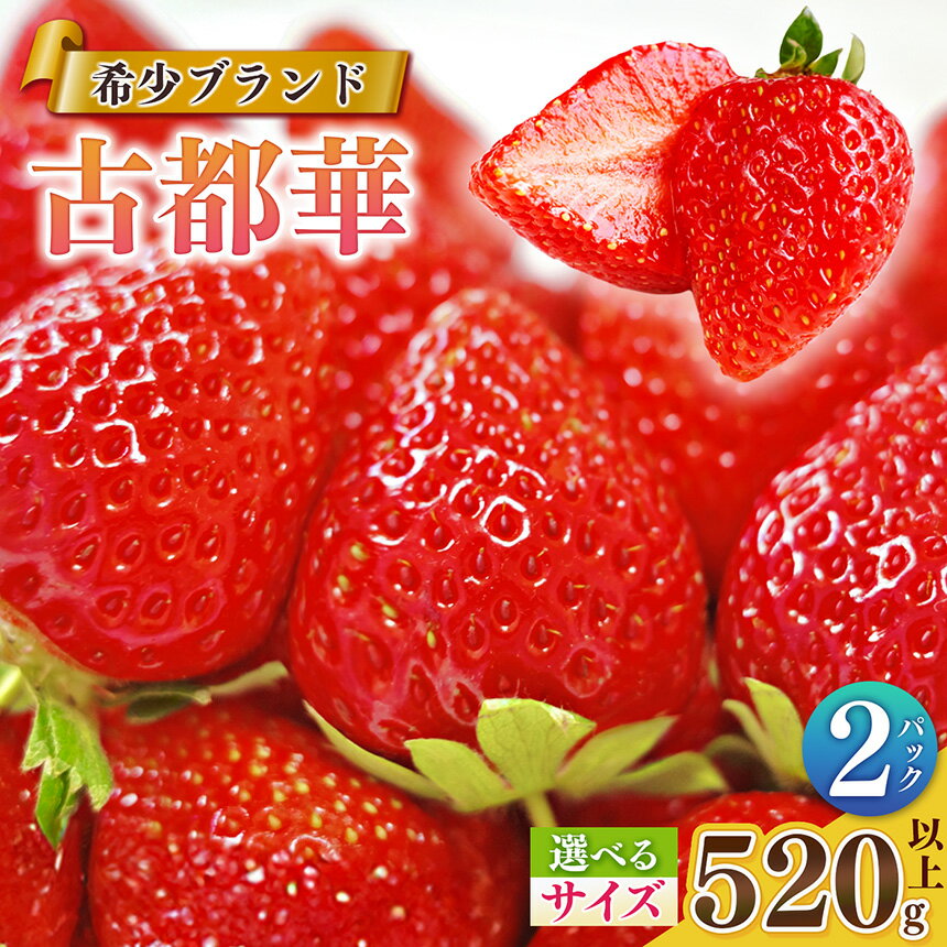 いちご 【サイズが選べる！】平群の古都華 扇田農園 | 果物 くだもの フルーツ 苺 イチゴ いちご 古都華 ことか 奈良県 平群町 限定出荷 ふるさと納税 苺 ふるさと苺 高級 ブランド苺 旬 産地 直送 扇田農園