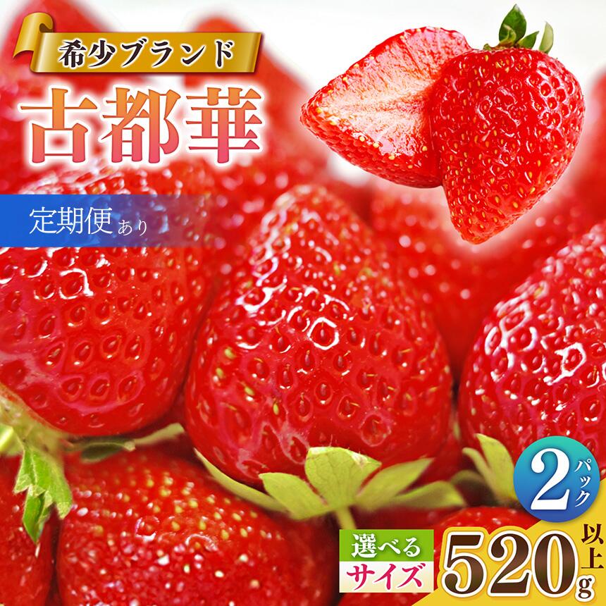 いちご 「 古都華 」【サイズ・発送回数が選べる！】平群の古都華 扇田農園 | 【 発送期間：1月下旬～4月頃まで （ 定期便 は2・3月発送）】M ～ 5L サイズ 果物 くだもの フルーツ 苺 イチゴ いちご 古都華 苺 高級 ブランド苺 旬 産地直送 奈良県 平群町