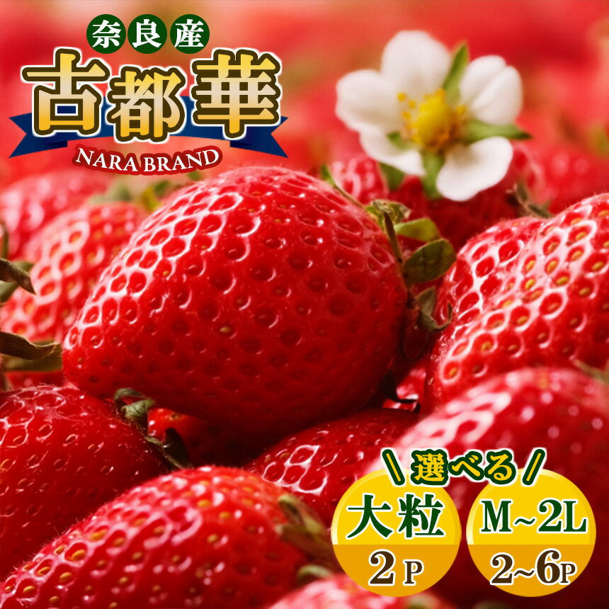 いちご 選べる内容量！平群の古都華 いちご （M～5Lサイズ）大粒あり | 果物 くだもの フルーツ 苺 イチゴ いちご ストロベリー 古都華 ことか 旬の品種 奈良県 平群町