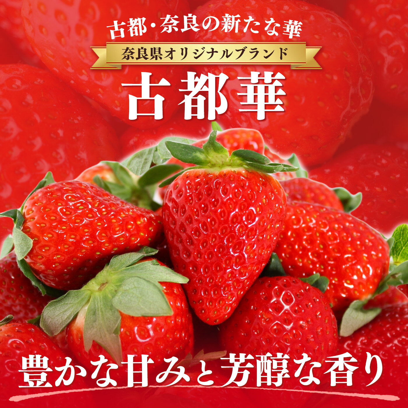 【ふるさと納税】 いちご 平群の古都華 2L～5Lサイズ （2～4パック 1～2ケース） 計2～4パック 辻本農園 | 先行予約 フルーツ 果物 くだもの ブランド 苺 古都華 甘い 大人気 12月 1月 2月 3月 発送 旬 送料無料 濃厚 お取り寄せ 産地直送 辻本農園 名産地 奈良県 平群 町 サムネイル2