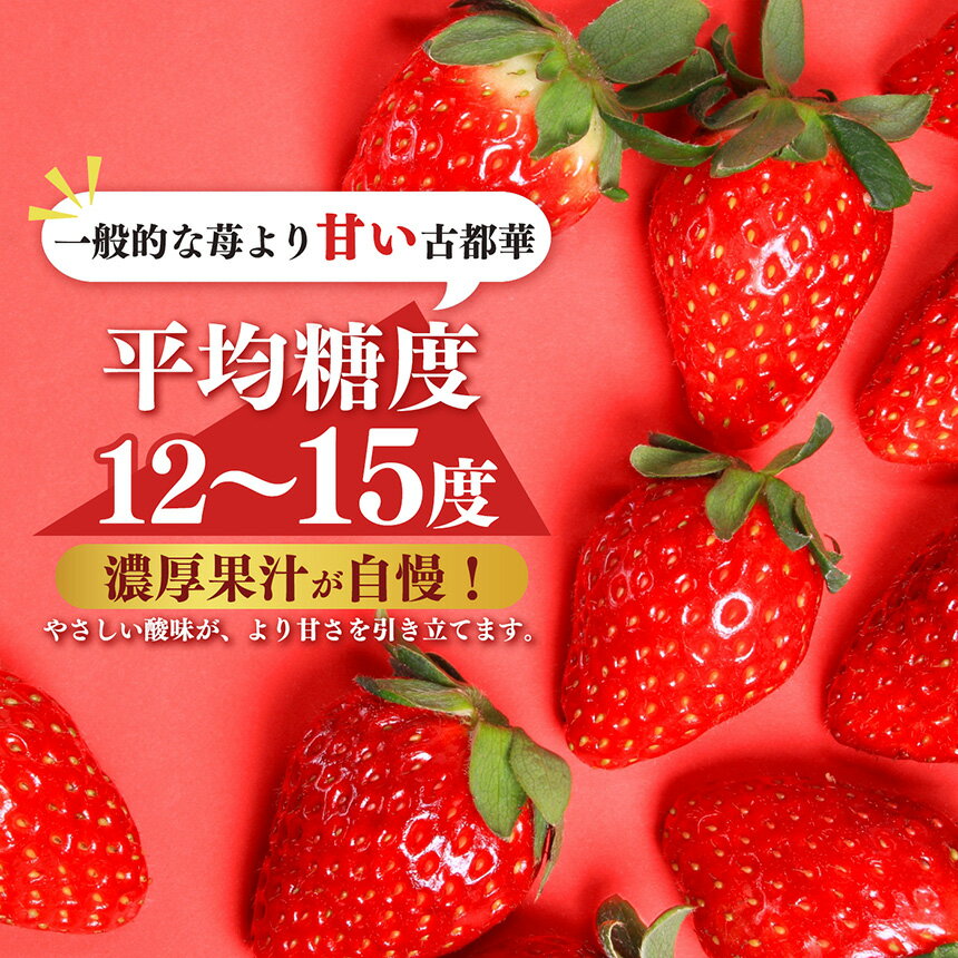 【ふるさと納税】 いちご 【食べ比べ】 平群の『古都華』＋希少『古都姫』（L～2Lサイズ）各1パック 計2パック 阪野農園 | 果物 くだもの フルーツ 苺 イチゴ いちご ストロベリー 古都華 ことか 古都姫 ことひめ 食べ比べ 旬の品種 奈良県 平群町 サムネイル3