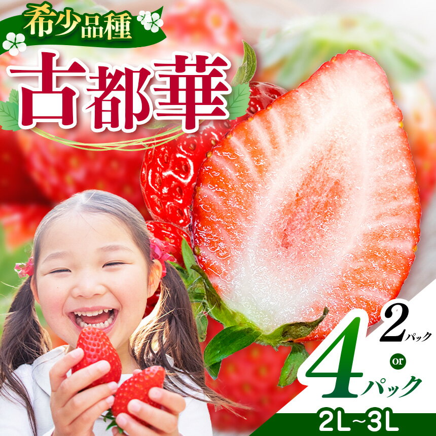 【ふるさと納税 いちご 平群の古都華 2L～3Lサイズ （2～4パック 1～2ケース） 計2～4パック OKADAファーム | 果物 くだもの フルーツ 苺 イチゴ ストロベリー 古都華 ことか 旬の品種 フードロス 産地直送 奈良県 平群町 1月発送 2月発送