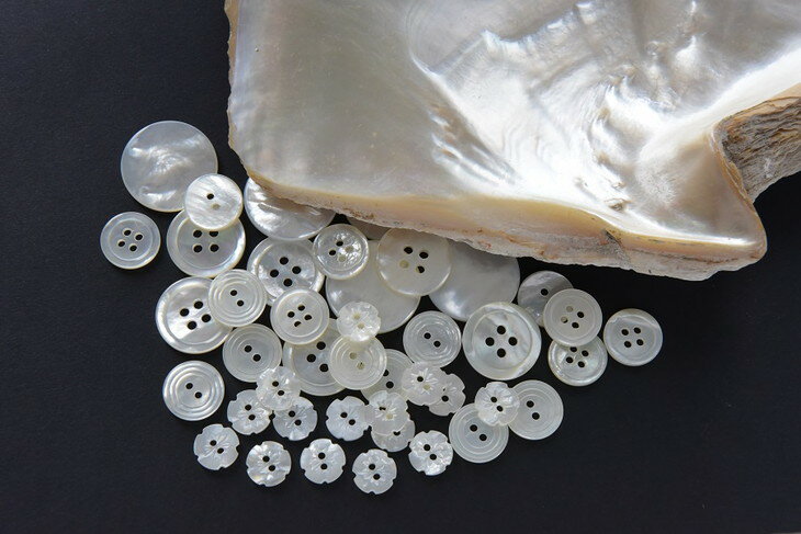 【ふるさと納税】オーダーワイシャツ-川西町産貝ボタンを使用（白蝶貝）- 【生地：ロイヤルオックス】 ※オーダーシート受付後2か月程度で発送予定 ※着日指定不可 サムネイル2