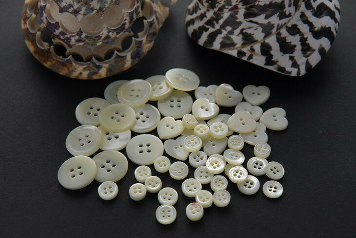 【ふるさと納税】オーダーワイシャツ-「オリジナルネーム入り」川西町産貝ボタンを使用- 【生地：ロイヤルオックス】 ※オーダーシート受付後2か月程度で発送予定 ※着日指定不可 サムネイル3