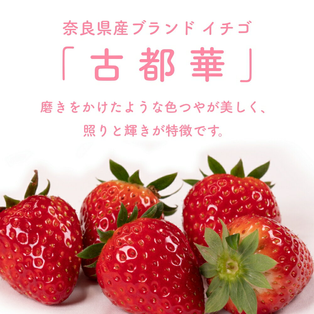 【ふるさと納税】（冷蔵）イチゴ 奈良県産高級ブランド品種「古都華」デラックス（270g×2パック） ／ 上田農園 苺 いちご 果物フルーツ 甘い 奈良県 田原本町 サムネイル2