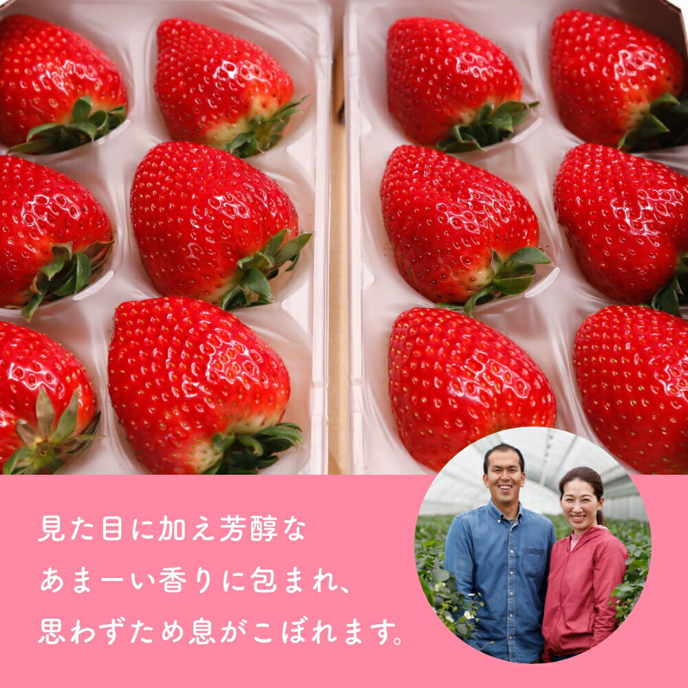 【ふるさと納税】（冷蔵）イチゴ 奈良県産高級ブランド品種「古都華」デラックス（270g×2パック） ／ 上田農園 苺 いちご 果物フルーツ 甘い 奈良県 田原本町 サムネイル3