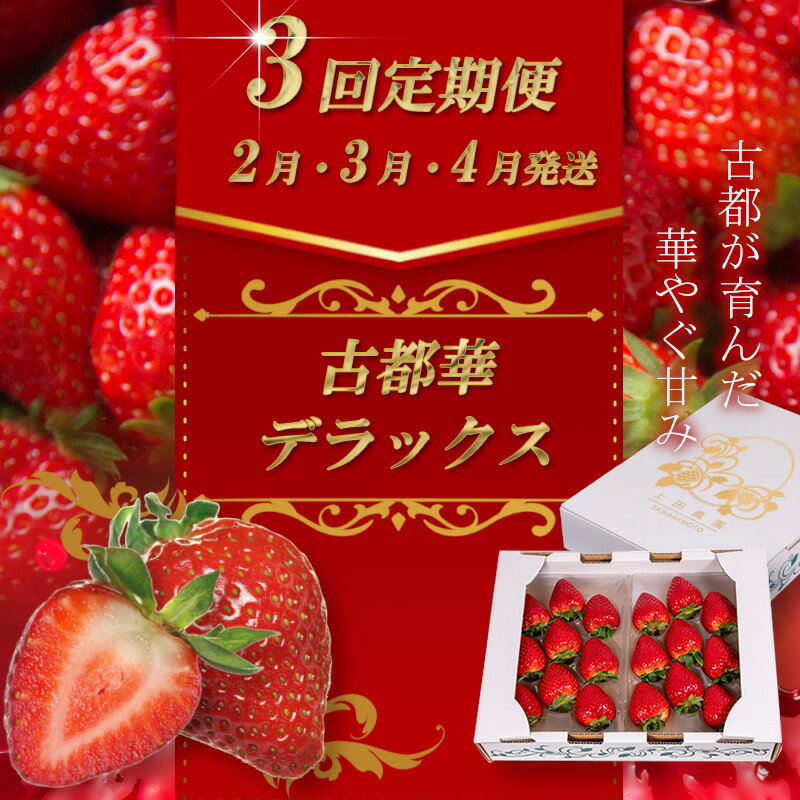 （冷蔵）【定期便全3回】（2月・3月・4月）イチゴ 奈良県産高級ブランド品種「古都華」デラックス（270g×2パック） ／ 上田農園 苺 いちご 果物 フルーツ 甘い 奈良県 田原本町