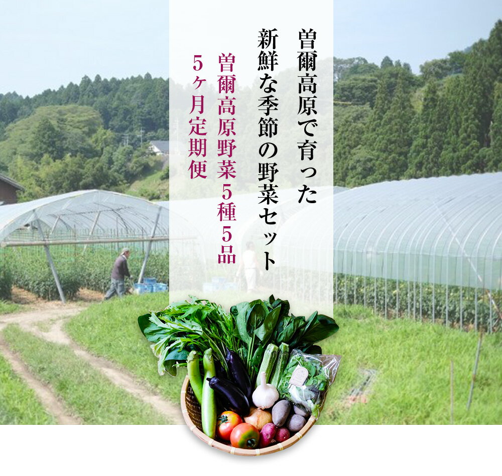 【ふるさと納税】【 定期便 】【2026年6月より順次発送】 曽爾高原野菜5種5品〜小さなご家庭食べきりサイズ〜を5ヶ月連続でお届けします ふるさと納税 野菜 定期 野菜セット 定期便 お楽しみ セット 詰め合わせ 送料無料 奈良 奈良県 お得 支援 応援 先行予約 - 画像2