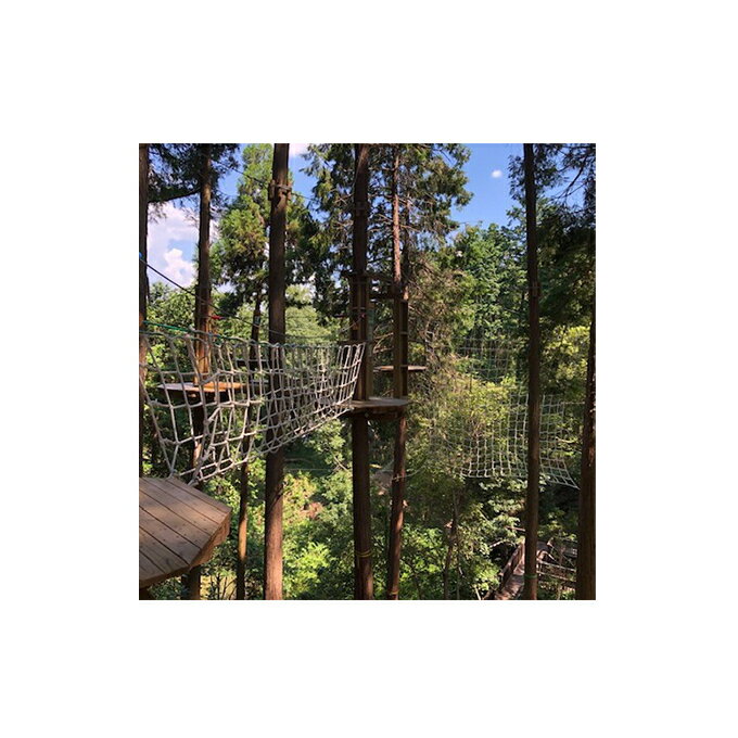 冒険の森inおうじ　ディスカバリーコース5名様チケット 入場券 優待券 体験チケット